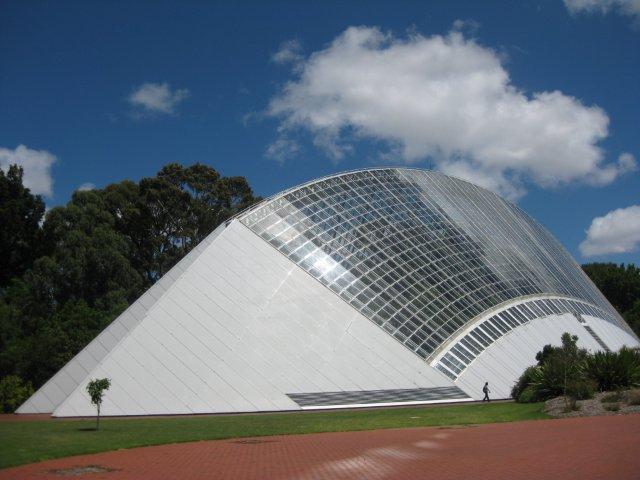 NPI+ visits the Botanic Gardens of Adelaide